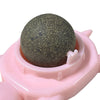 Pet Cat Mint Ball Turtle-shaped Toys