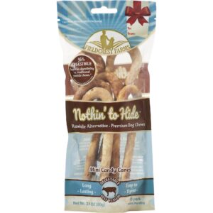 Fieldcrest Farms Nothin' To Hide Mini Candy Cane Dog Chews - Image 1