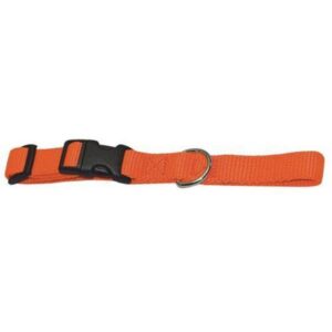 Adjustafit Dog Collar Orange - Image 1