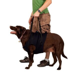 Lift Em Up Mobility Harness Front - Image 1