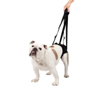 Lift Em Up Mobility Harness Rear - Image 1