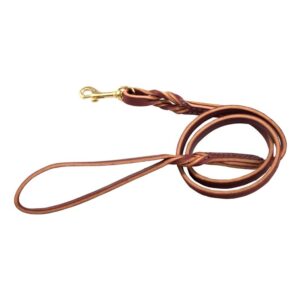 Twisted Latigo Dog Lead - Image 1