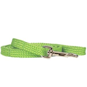 Rainbow Nylon Puppy Lead - Image 1