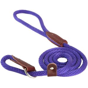 Slip Lead for Dogs - Image 1