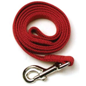 Leather Brothers Nylon Dog Leash - Image 1