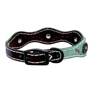 Weaver Savannah 1in Collar - Image 1