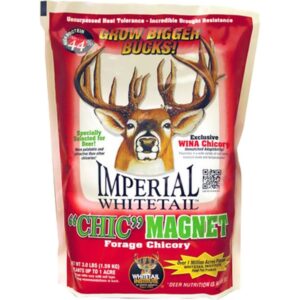 Imperial Chic Magnet-Spring/Fall Perennial 3lb - Image 1