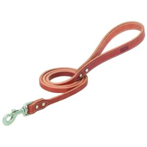 Weaver Hybrid Leash Rose 3/4 X 4 Rose - Image 1