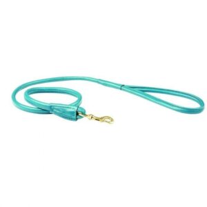 Weatherbeeta Padded Leather Dog Collar - Image 1