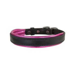 Perris Metallic Pad Leather Dog Collar LG HavPlat - Image 1