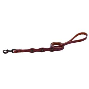 Sundance Leash 3/4 X 4ft Brown - Image 1