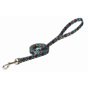 Weaver 3/4in Patterened Dog Leash - Image 1